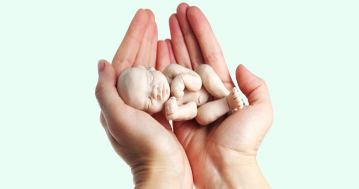 Científicos descubren un método que puede reducir los abortos y mejorar la formación de los embriones 2