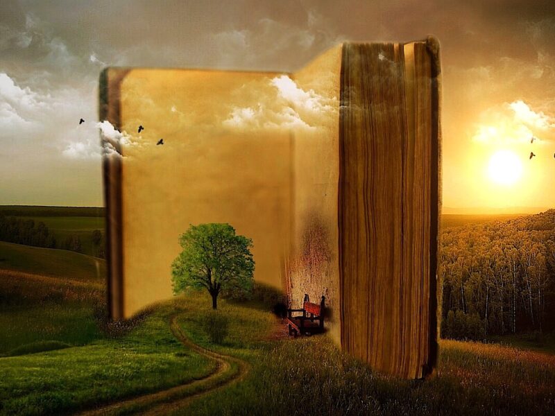 Novelas de amor y humor